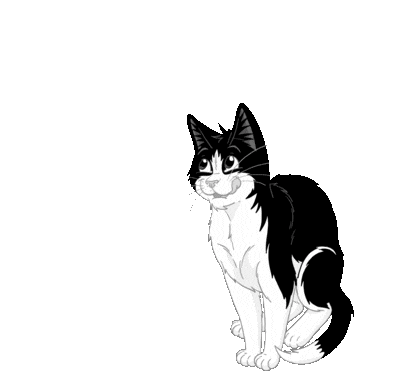 GIF Felix