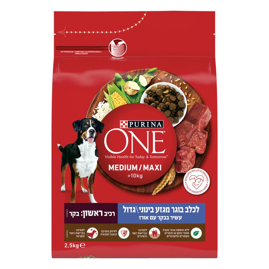 12381918_7613036120395_פורינה ONE מזון יבש ומלא לכלבים בוגרים מגזע בינוני גדול עשיר בבקר