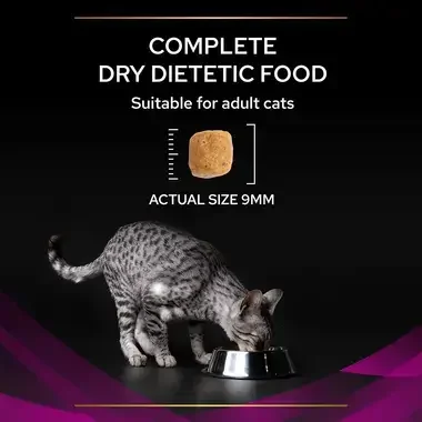 PRO PLAN® VETERINARY DIETS UR St/Ox Urinary™ With Chicken Dry Cat Food