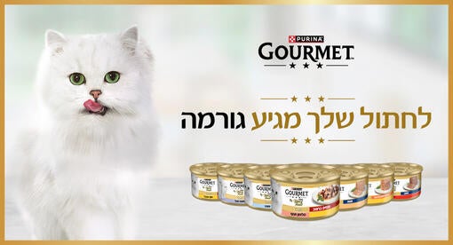 באנר סגיר לחתול שלך מגיע גורמה - מובייל