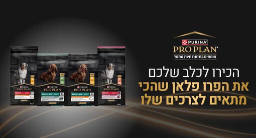 התאימו לחתול שלכם את התזונה הנכונה ביותר מבין מגוון מוצרי פרו פלאן - באנר מובייל