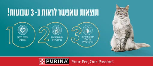 פורינה ONE חתול - תוצאות תוך 3 שבועות - פרווה מבריקה, עור חלק וברק בעיניים, מערכת עיכולת בריאה יותר, עלייה ברמת האנרגיה.