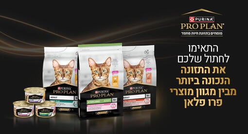 התאימו לחתול שלכם את התזונה הנכונה ביותר מבין מגוון מוצרי פרו פלאן - באנר מובייל