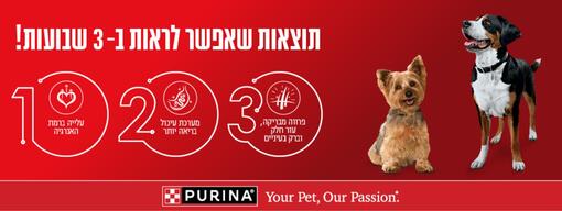באנר יתרונות פורינה ONE כלב