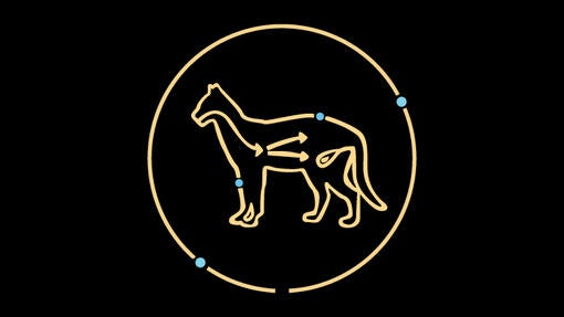 הידרה קר - לקבלת שתן מהול יותר