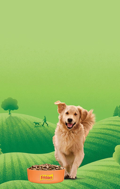 פריסקיז כלב - באנר הירו מובייל