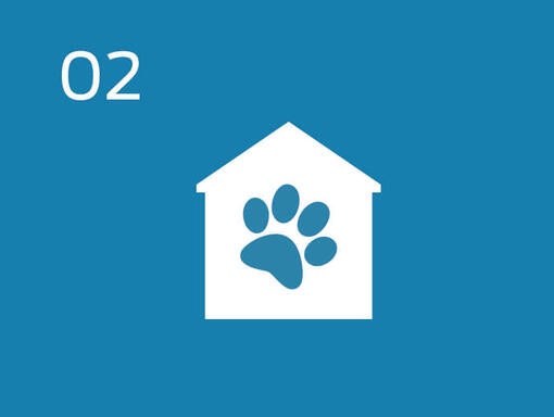 Infographic pet footprint and house