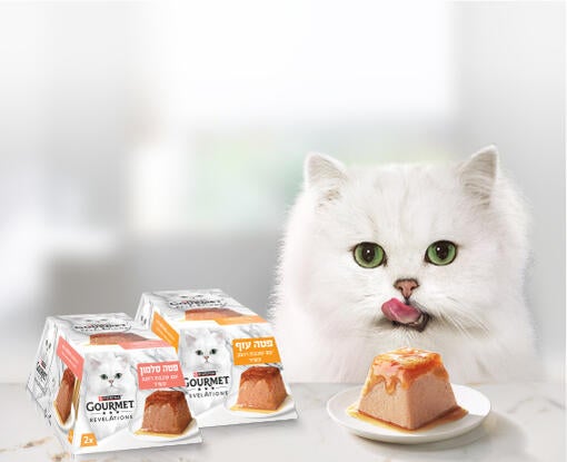 גורמה רבליישנס באנר הירו מובייל עמוד הבית