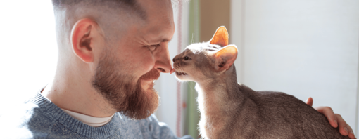 בחור צעיר ומזוקן מחייך מחבק חתול שמנשק לו את האף