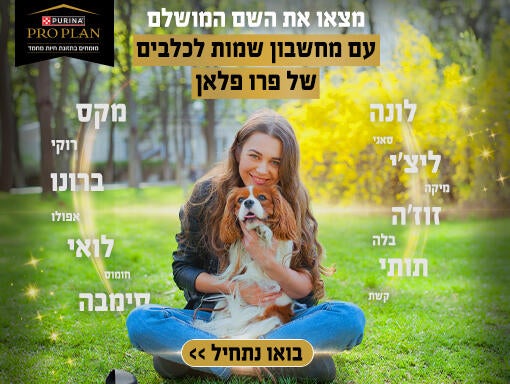 מחשבון שמות של פרו פלאן באנר מובייל