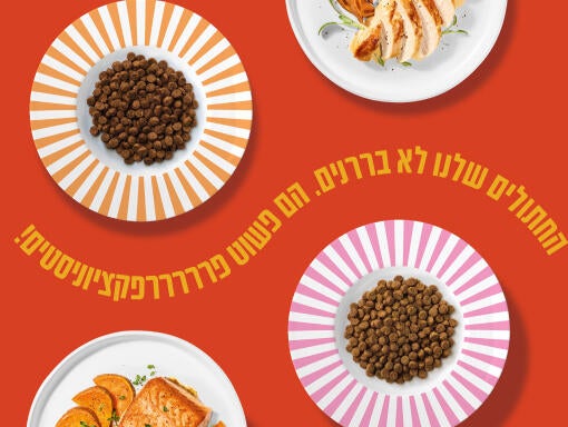מריק מזון אולטרה פרמיום לחתולים בוגרים מובייל