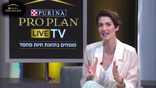 כל מה שצריך לדעת כשמגדלים כלב בבית